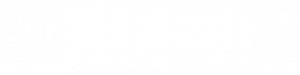 DNB-SAMEAFRICA-white-logo--300x75